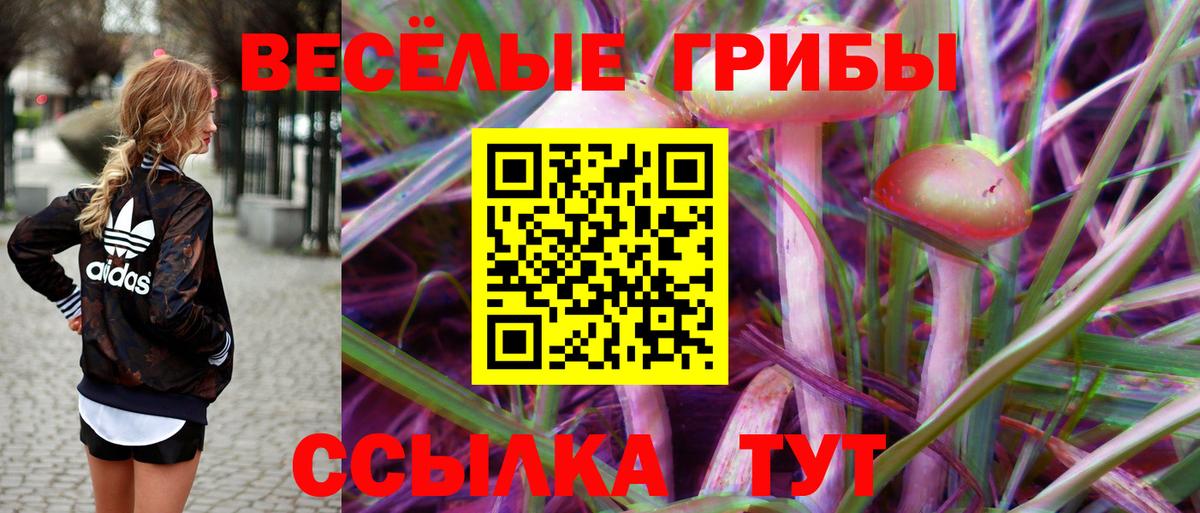 Псилоцибиновые грибы GOLDEN TEACHER  Вход с VPN  Приморско-Ахтарск  Псилоцибиновые грибы мухоморы 