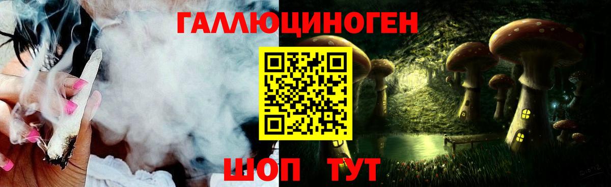 Псилоцибиновые грибы Cubensis Приморско-Ахтарск